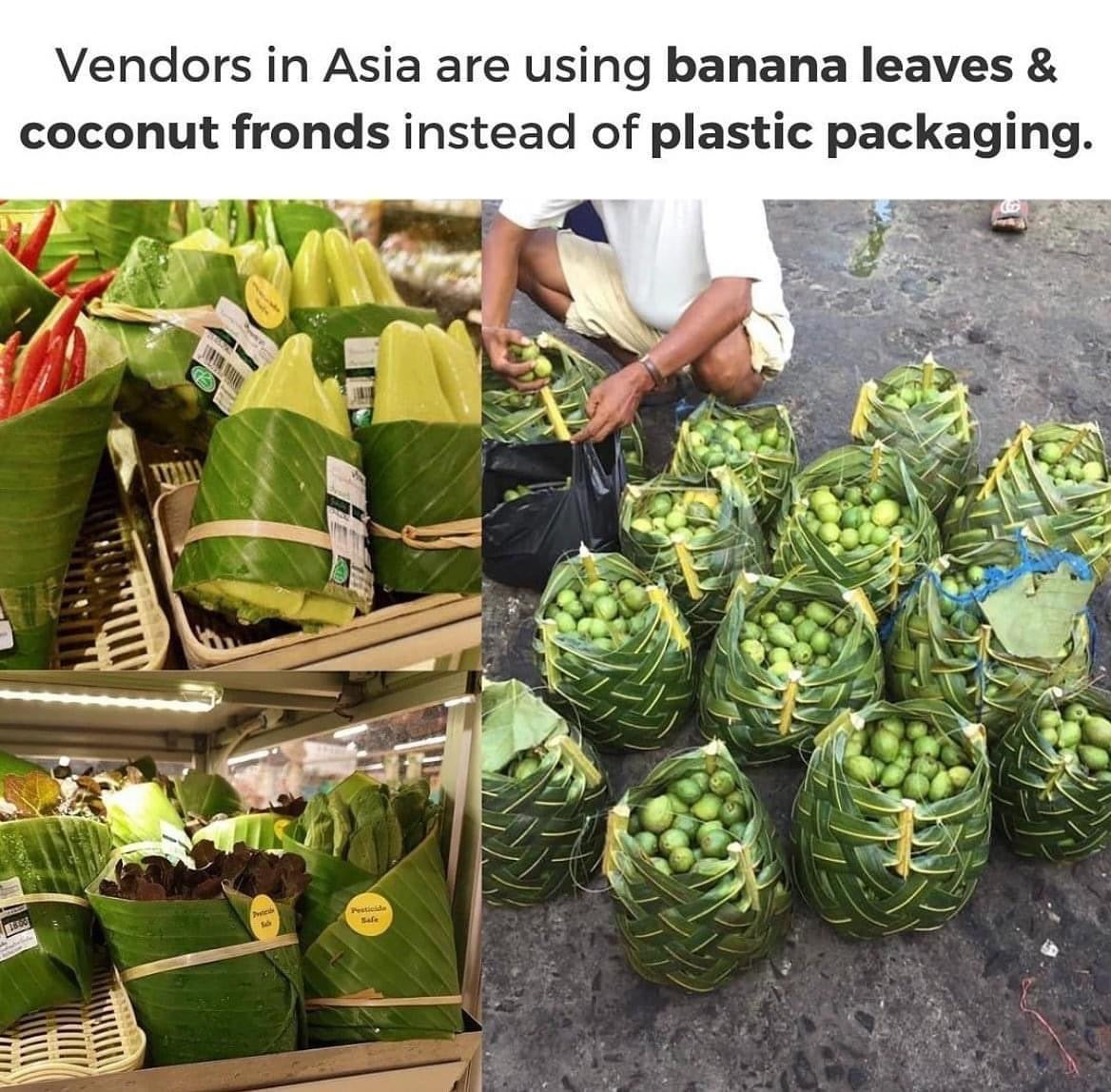 Exploring Sustainable Alternatives: Vendors in Asia Embrace Banana Leaves and Coconut Fronds as Packaging