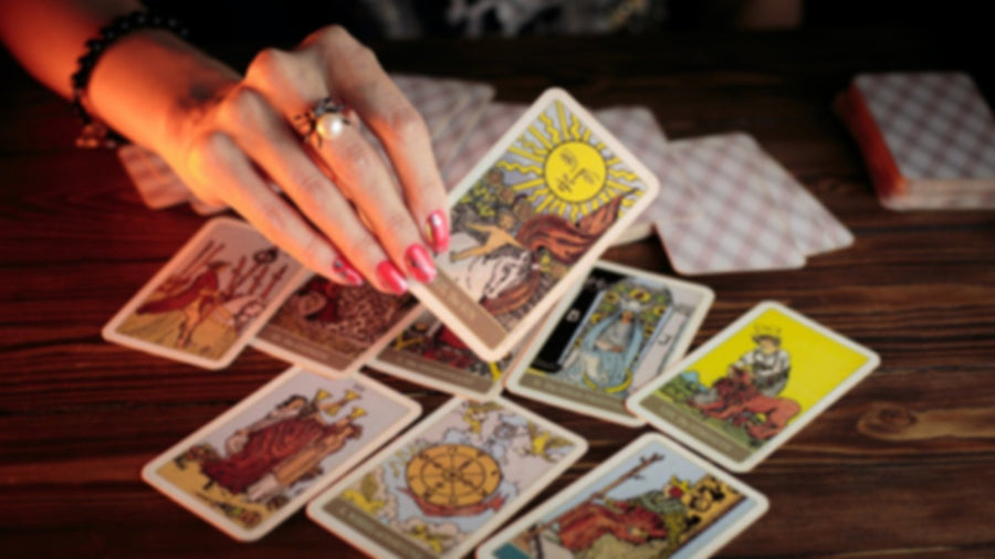 Light Network Spotlight: Black Sheep Gypsies, Denver, Colorado
