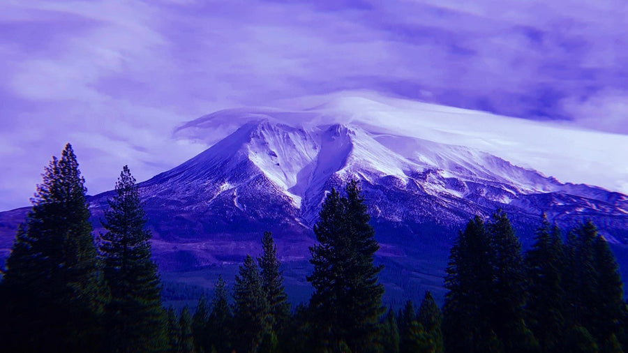 Light Network Spotlight: The Quantum Light in Mount Shasta, CA