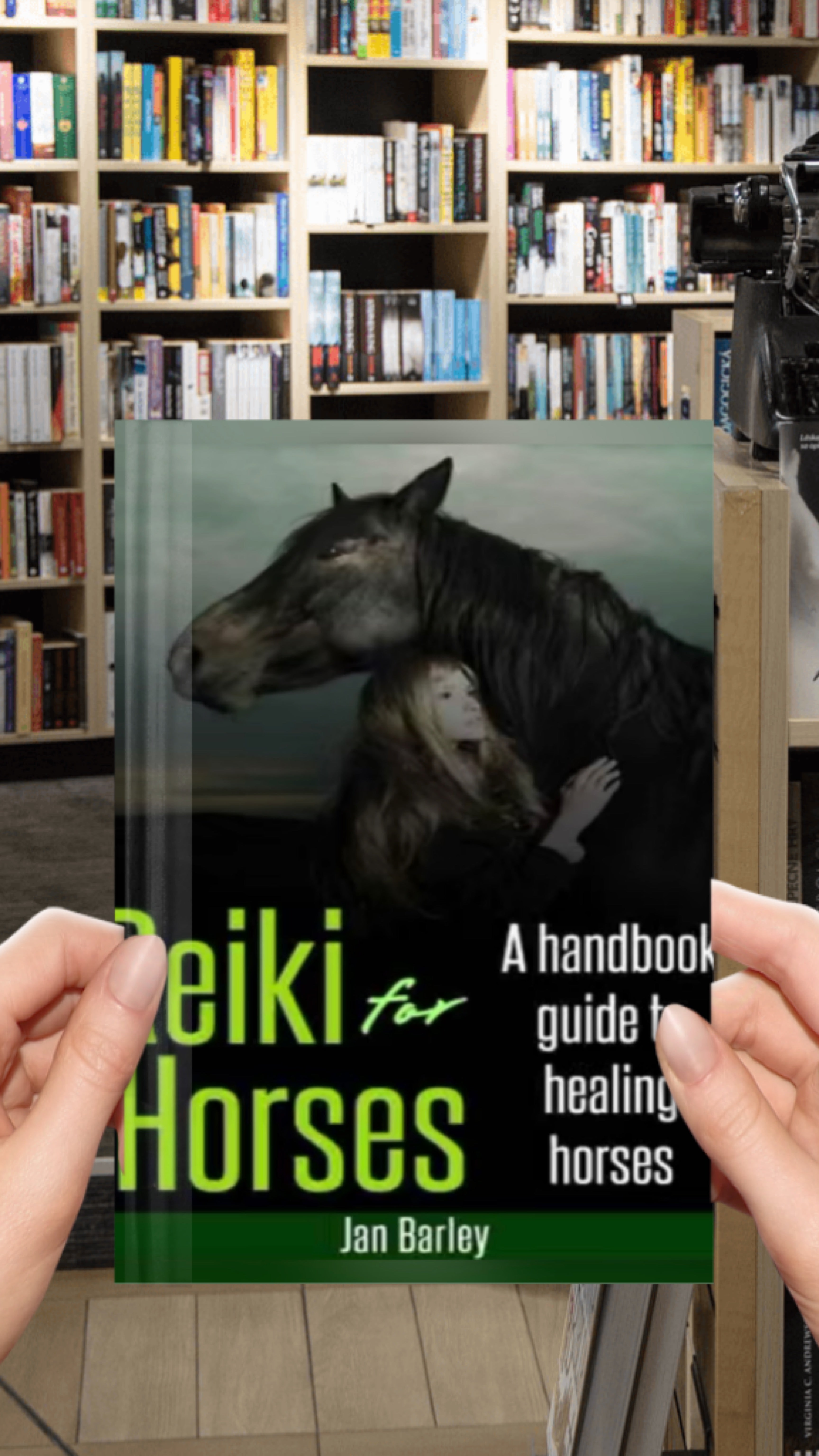 Reiki for Horses