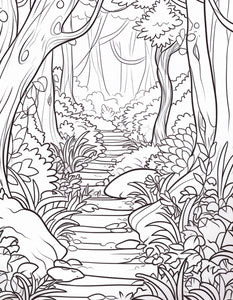 Hiking Trails Coloring Book