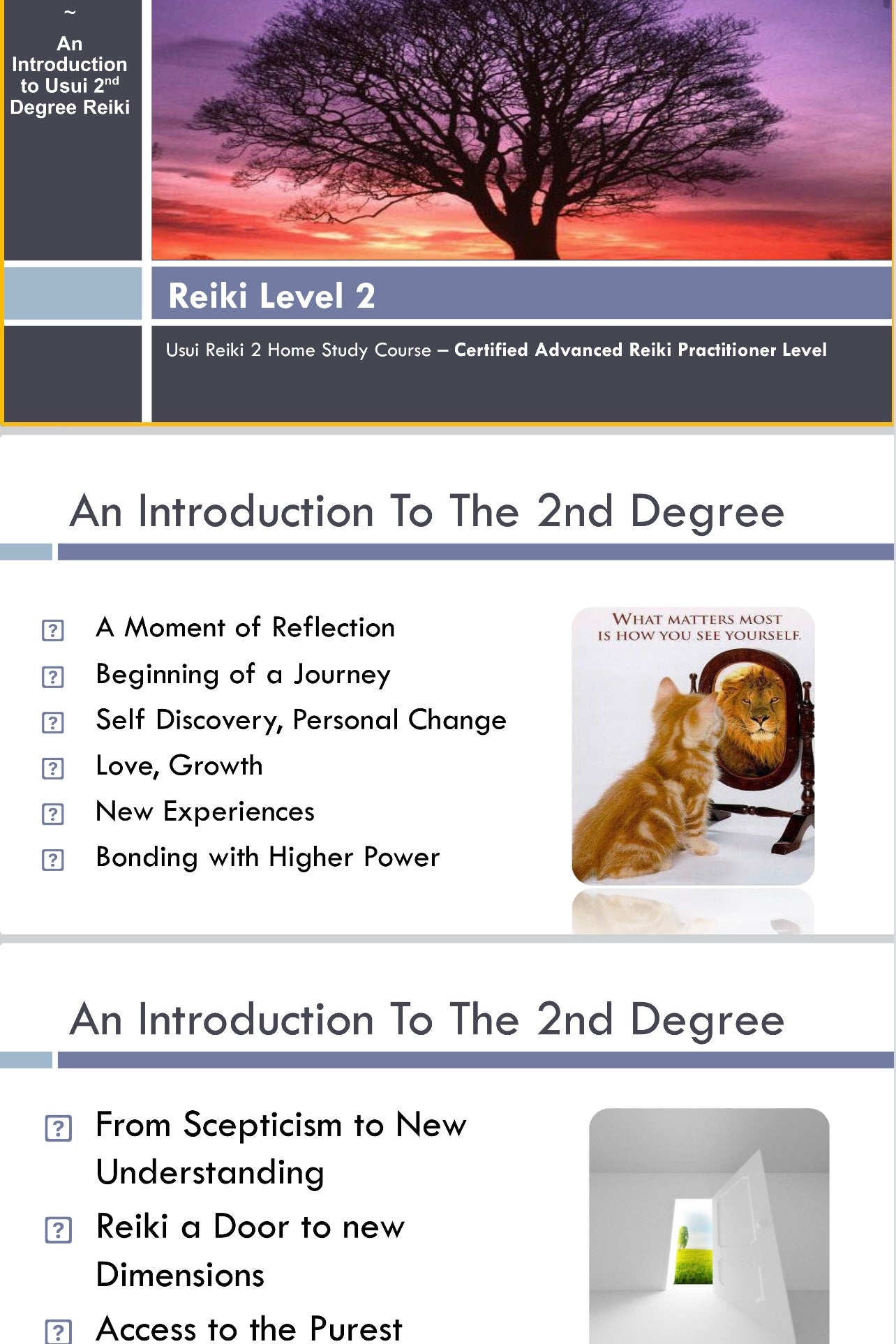 The Ultimate Reiki Practitioner Package