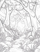 Hiking Trails Coloring Book