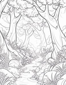 Hiking Trails Coloring Book