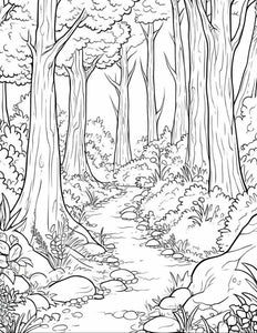 Hiking Trails Coloring Book