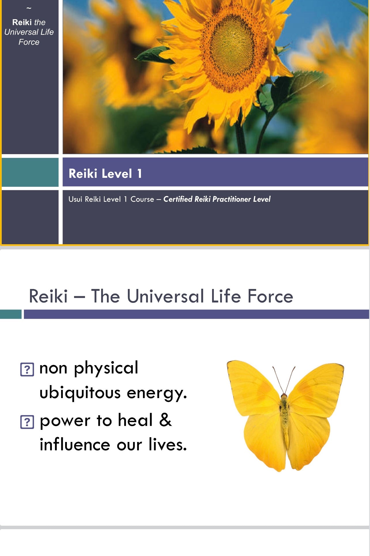 The Ultimate Reiki Practitioner Package