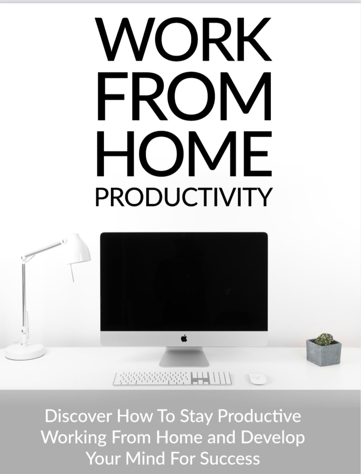 WORK FROM HOME PRODUCTIVITY