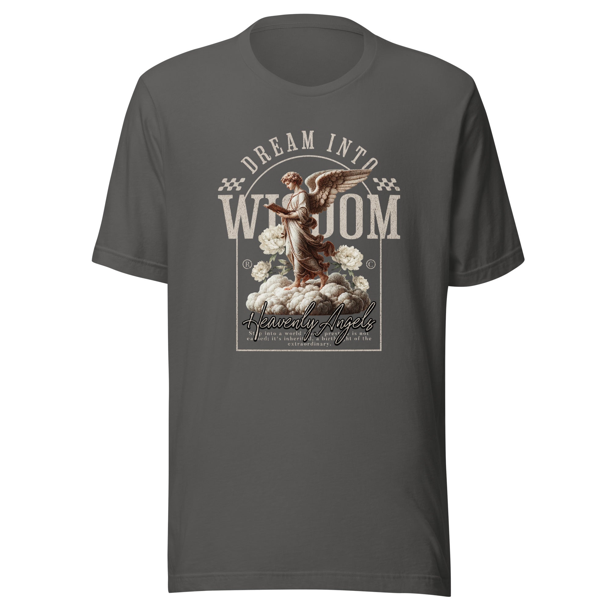 Dream into Wisdom Unisex t-shirt