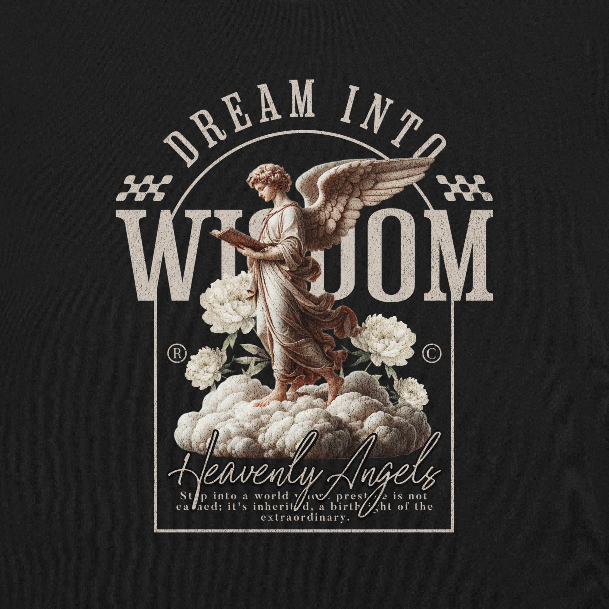 Dream into Wisdom Unisex t-shirt